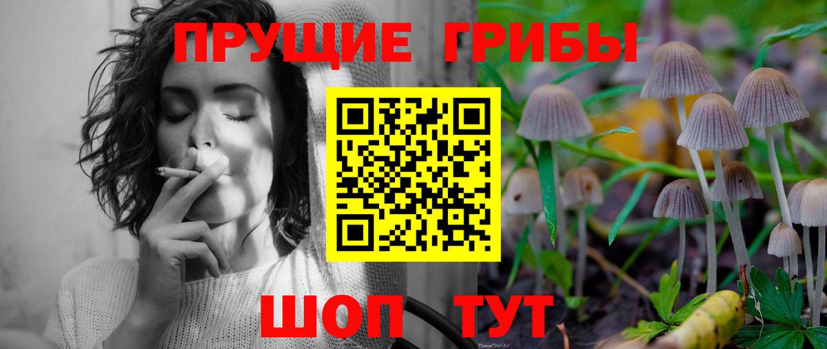 Галлюциногенные грибы Cubensis  Вход с VPN  Ачинск 